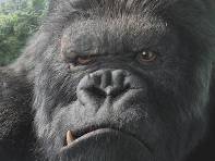 King Kong